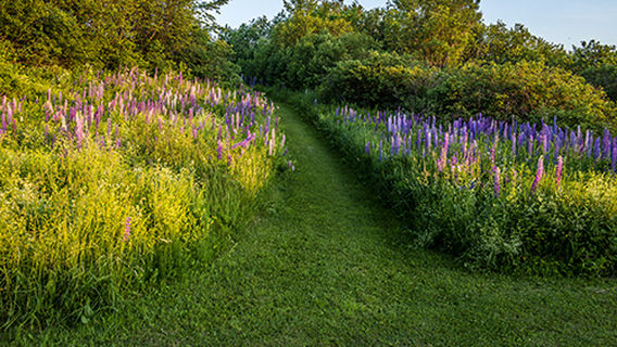 Arndt's Aroostook River Lodge