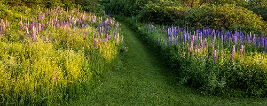 Arndt's Aroostook River Lodge