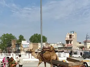 Ghoomchakkar Circle & Park, Nawalgarh
