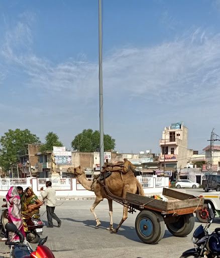Ghoomchakkar Circle & Park, Nawalgarh