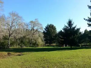 Camping Kolei Mawida