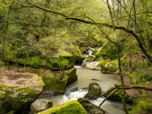 Parco delle Cascate di Chia del Fosso Castello