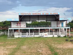 Arena de rodeio