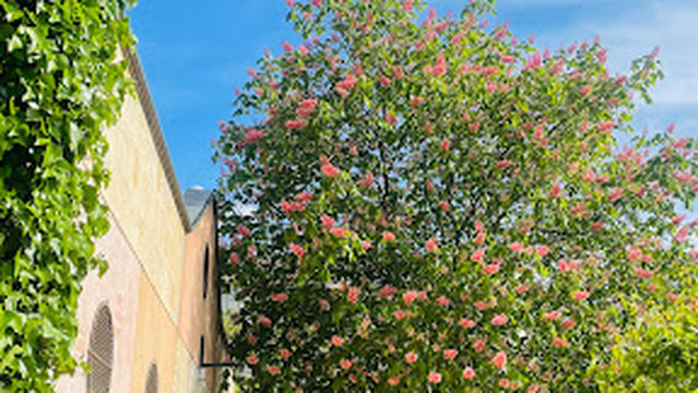 Segovia Botanical Garden