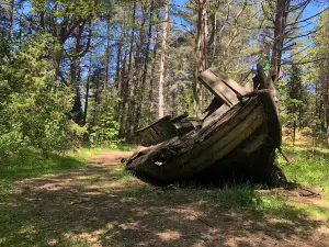 Boat Cemetery at Mazirbe seaside