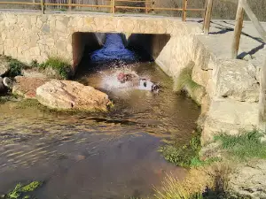 Molino Alto