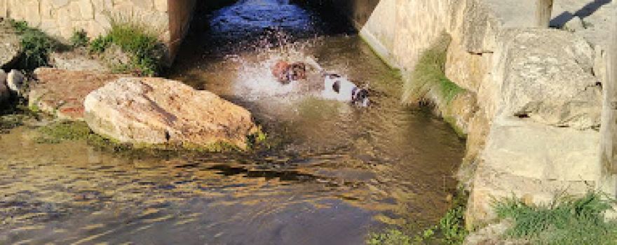 Molino Alto