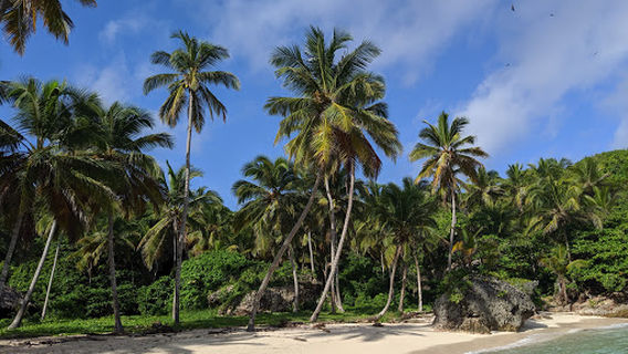 Playa Madama