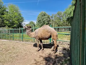 Lovech Zoo