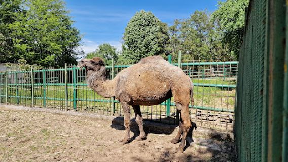 Lovech Zoo