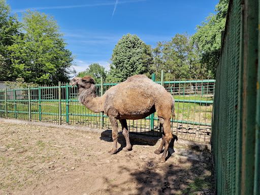 Lovech Zoo