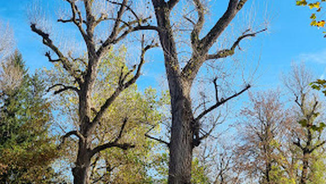 Lehner Park Spielplatz
