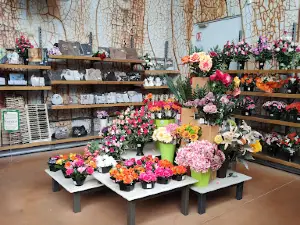 Villaverde Lecornu Jardinerie EURL