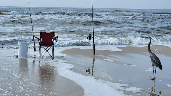 Dauphin Island Beach