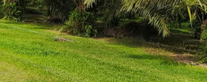 Jenderata Division 1 Field