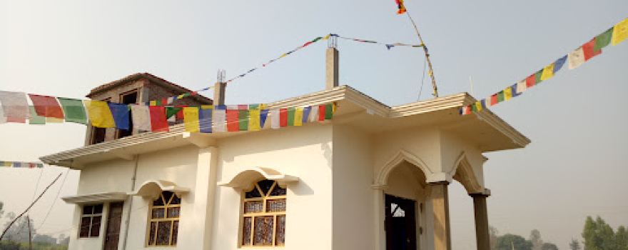 Ahirauli