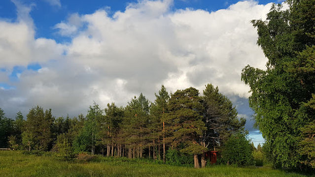 TROLLSPARVENS Camping