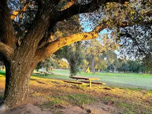 Potrero County Park