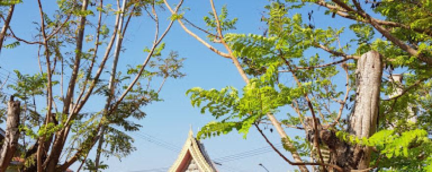 Wat Kudi Thong
