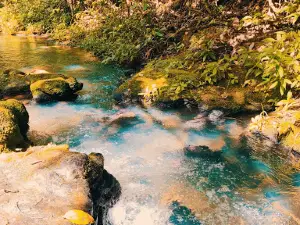 Cachoeira Água Branca
