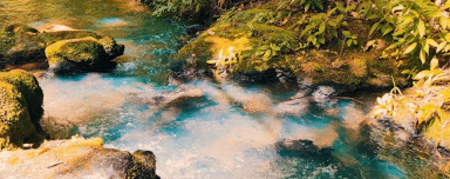 Cachoeira Água Branca