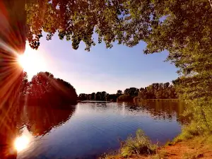 Stausee Birkungen