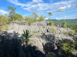 เขาหินปะการัง
