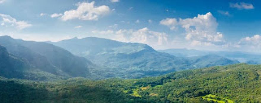 Turn Lanka Tours