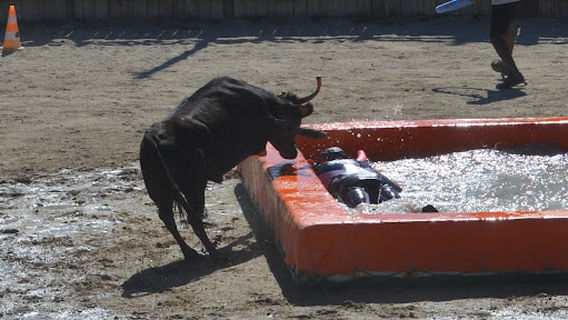 Toro piscine EVG Montpellier