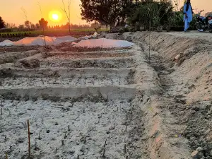 Bapu Nurseries