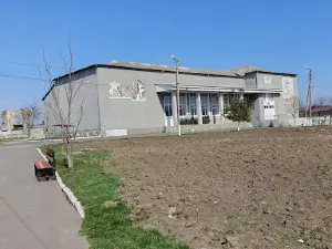 Muzeul Negureni