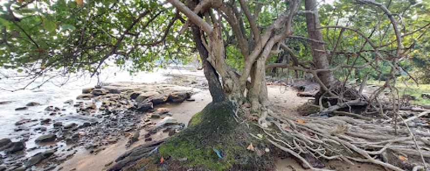 Kien Tuk Beach