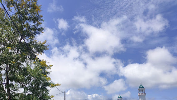 Mosquée Hamad Bin Khalifa AlThani