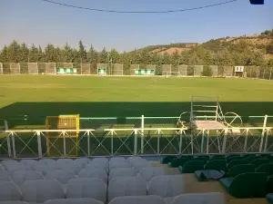 Kale Stadyumu