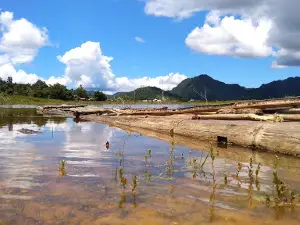Tarusan Kamang