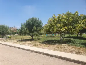 Valle Camila Park