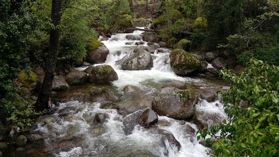 Finca Cerezos Tornavacas