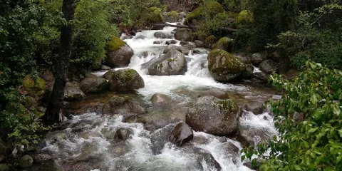 Finca Cerezos Tornavacas