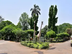 Adya Krantiguru Salve Udyan