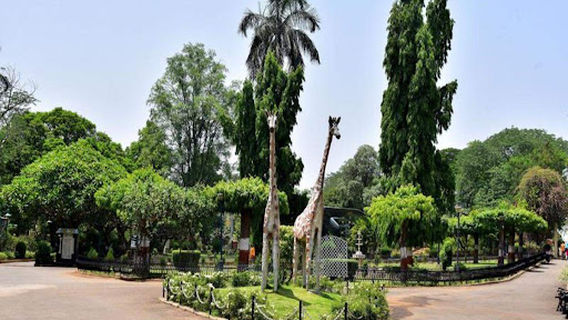 Adya Krantiguru Salve Udyan