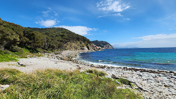 Coles Bay