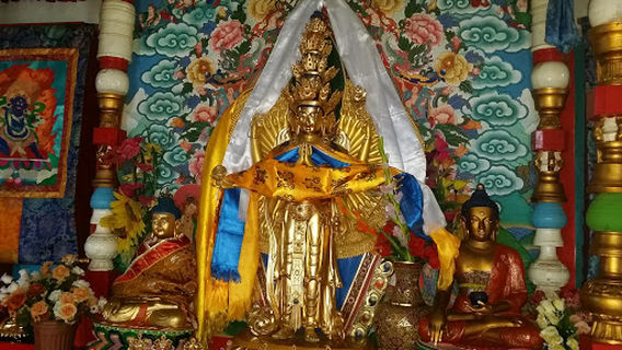 Goliin garam, Terelj