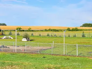 Dog Park