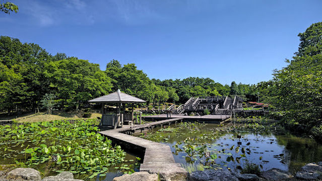 Hokikodainooka Park