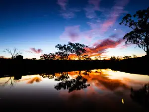 Gidgee Bush Camp and Farm Stay