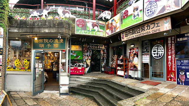 由布院豆柴カフェ