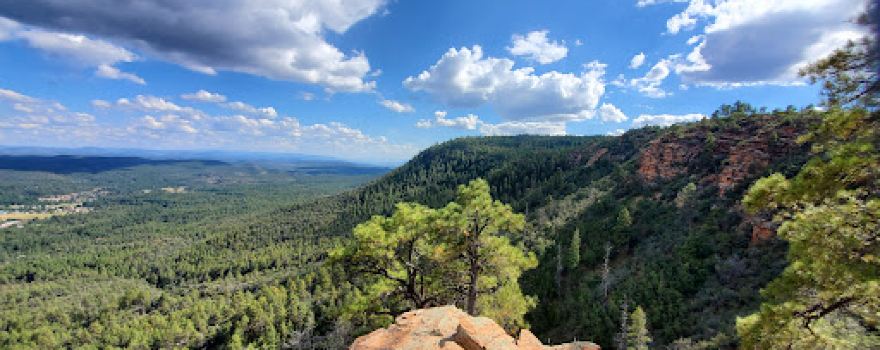 Bearfoot Trailhead