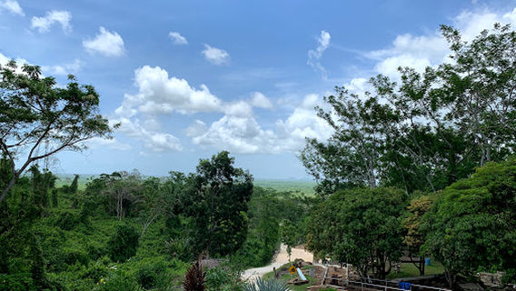 Nim Li Punit Archaeological Reserve