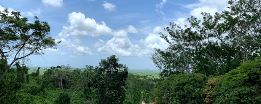 Nim Li Punit Mayan Ruins