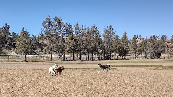 Dry Canyon Disc Golf Course